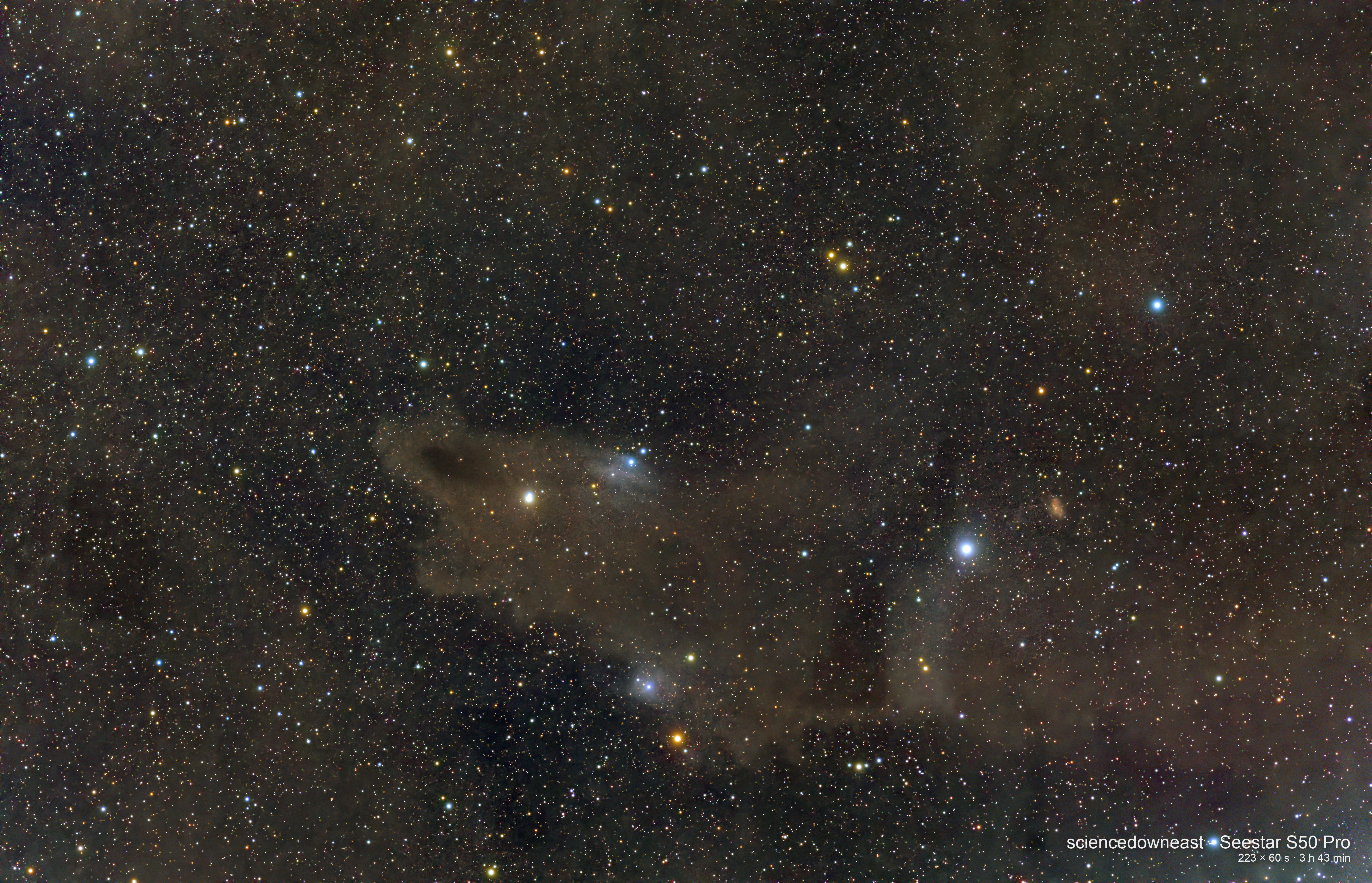 LDN 1235 (Shark Nebula)